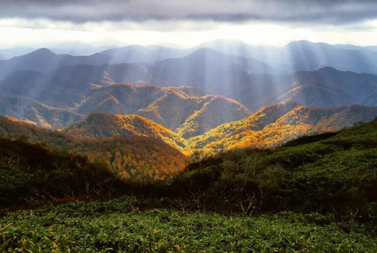 Sonnenstrahlen Natur